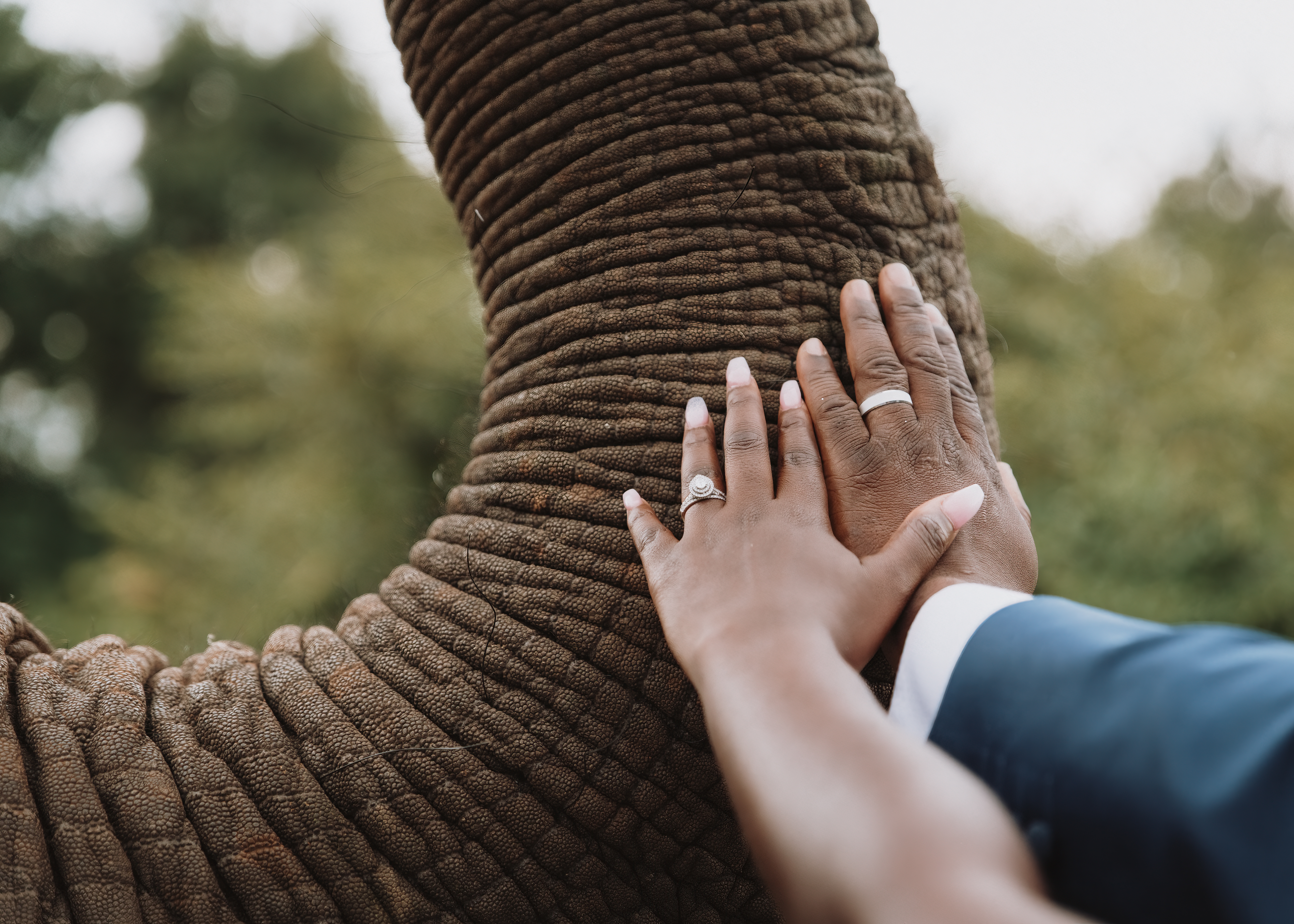 Bespoke Custom Wedding Victoria Falls